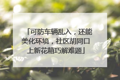 可防车辆乱入，还能美化环境，社区胡同口上新花箱巧解难题