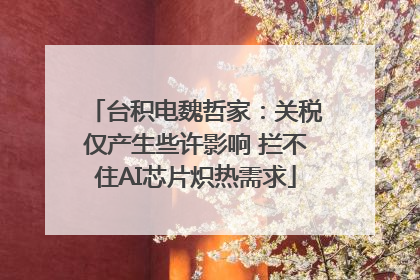 台积电魏哲家：关税仅产生些许影响 拦不住AI芯片炽热需求