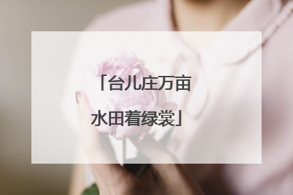 台儿庄万亩水田着绿裳
