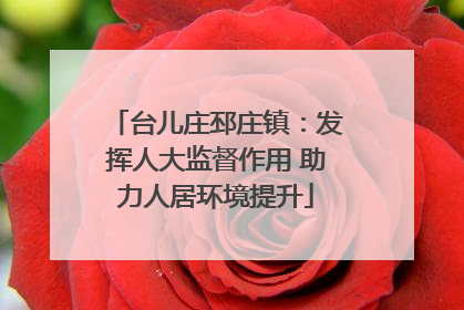 台儿庄邳庄镇：发挥人大监督作用 助力人居环境提升