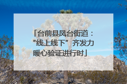 台前县凤台街道：“线上线下”齐发力 暖心验证进行时