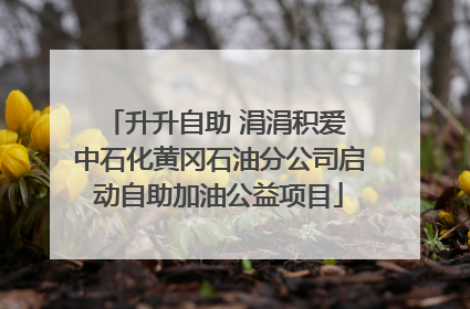 升升自助 涓涓积爱 中石化黄冈石油分公司启动自助加油公益项目