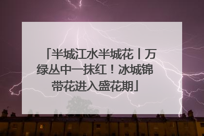半城江水半城花丨万绿丛中一抹红！冰城锦带花进入盛花期