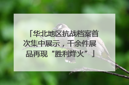 华北地区抗战档案首次集中展示，千余件展品再现“胜利烽火”