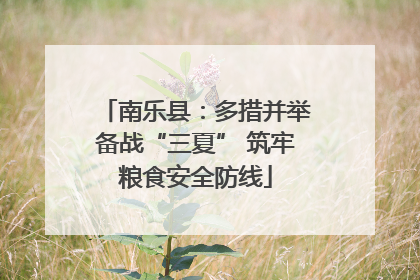 南乐县：多措并举备战“三夏” 筑牢粮食安全防线
