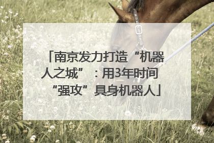 南京发力打造“机器人之城”：用3年时间“强攻”具身机器人