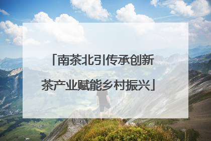 南茶北引传承创新 茶产业赋能乡村振兴