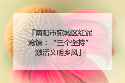 南阳市宛城区红泥湾镇：“三个坚持”激活文明乡风