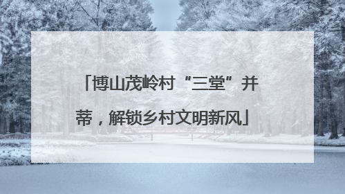 博山茂岭村“三堂”并蒂，解锁乡村文明新风