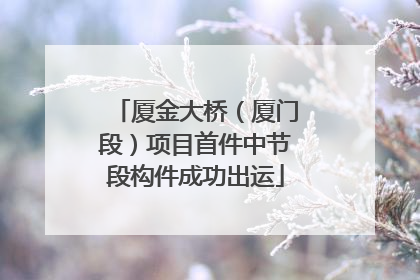 厦金大桥（厦门段）项目首件中节段构件成功出运