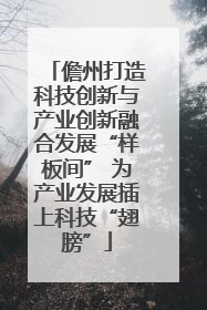 儋州打造科技创新与产业创新融合发展“样板间” 为产业发展插上科技“翅膀”
