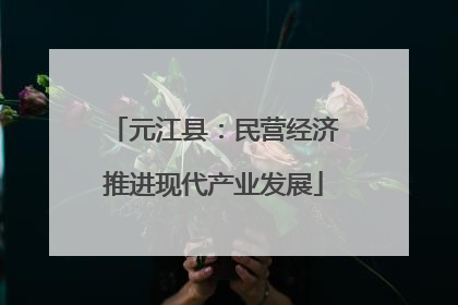元江县：民营经济推进现代产业发展