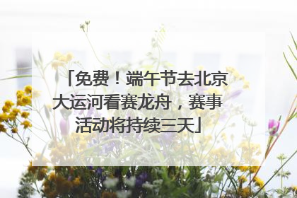 免费！端午节去北京大运河看赛龙舟，赛事活动将持续三天
