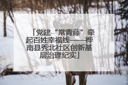 党建“常青藤”牵起百姓幸福线——桦南县秀北社区创新基层治理纪实