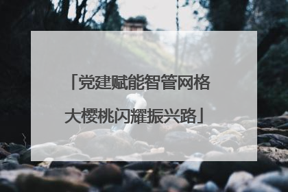 党建赋能智管网格 大樱桃闪耀振兴路