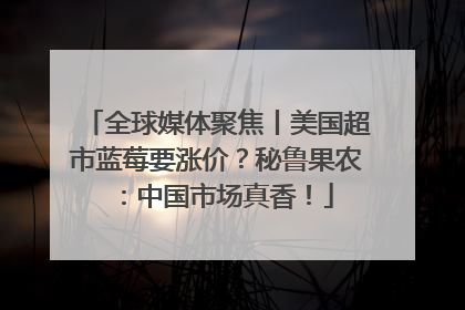 全球媒体聚焦丨美国超市蓝莓要涨价？秘鲁果农：中国市场真香！