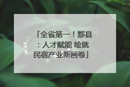 全省第一！黟县：人才赋能 绘就民宿产业新画卷