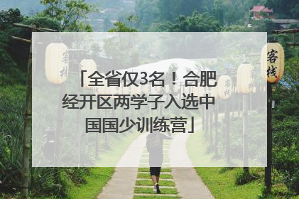 全省仅3名！合肥经开区两学子入选中国国少训练营