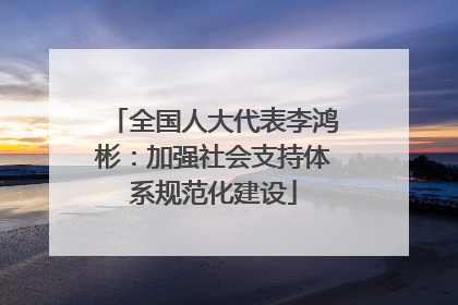 全国人大代表李鸿彬：加强社会支持体系规范化建设
