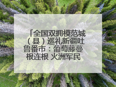 全国双拥模范城（县）巡礼新疆吐鲁番市：葡萄藤蔓根连根 火洲军民心连心