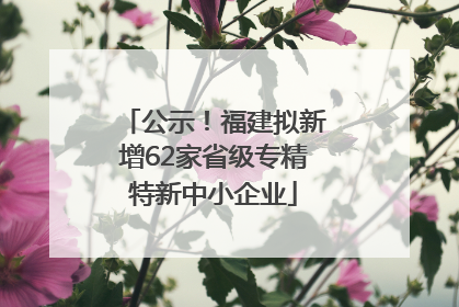 公示！福建拟新增62家省级专精特新中小企业