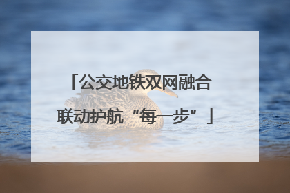公交地铁双网融合 联动护航“每一步”