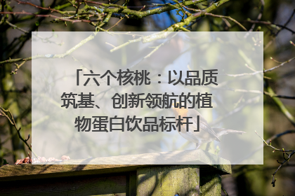 六个核桃：以品质筑基、创新领航的植物蛋白饮品标杆