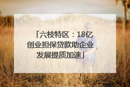 六枝特区：18亿创业担保贷款助企业发展提质加速