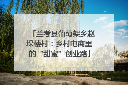 兰考县葡萄架乡赵垛楼村：乡村电商里的“甜蜜”创业路