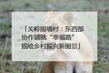关岭围墙村：东西部协作铺就“幸福路” 描绘乡村振兴新图景