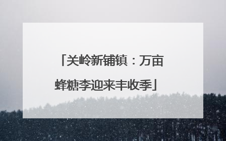 关岭新铺镇：万亩蜂糖李迎来丰收季