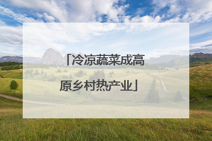 冷凉蔬菜成高原乡村热产业