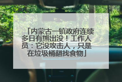内蒙古一镇政府连续多日有熊出没！工作人员：它没攻击人，只是在垃圾桶翻找食物