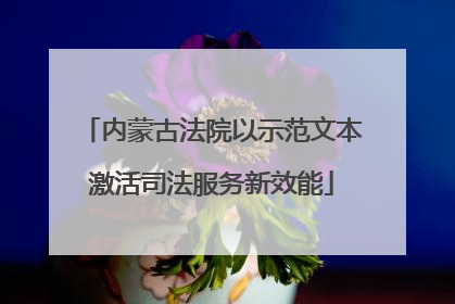 内蒙古法院以示范文本激活司法服务新效能