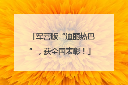 军营版“迪丽热巴”，获全国表彰！