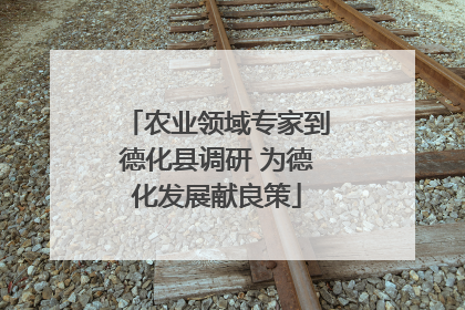 农业领域专家到德化县调研 为德化发展献良策