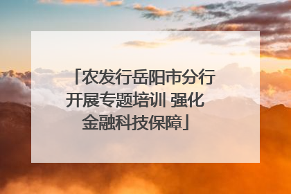农发行岳阳市分行开展专题培训 强化金融科技保障