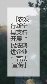 农发行新宁县支行开展“民法典进企业”普法宣传