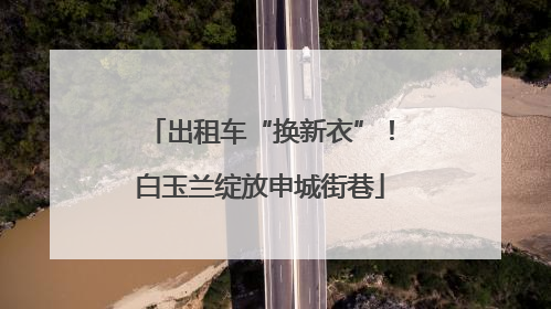 出租车“换新衣”！白玉兰绽放申城街巷