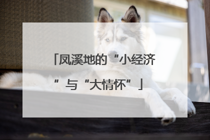 凤溪地的“小经济”与“大情怀”