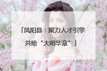 凤阳县：聚力人才引擎 共绘“大明华章”