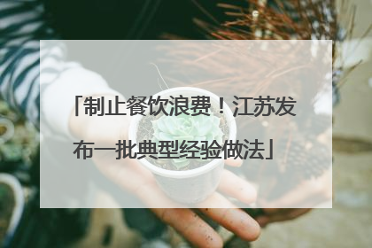 制止餐饮浪费！江苏发布一批典型经验做法