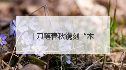 刀笔春秋镌刻“木业之都”新华章 木韵墨香擘画“书刻之城”新蓝图