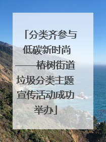 分类齐参与 低碳新时尚——椿树街道垃圾分类主题宣传活动成功举办