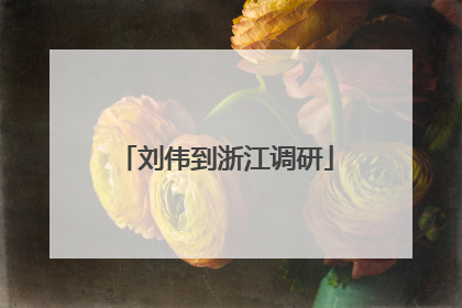 刘伟到浙江调研