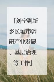 刘宁到新乡长垣市调研产业发展、基层治理等工作
