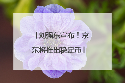 刘强东宣布！京东将推出稳定币
