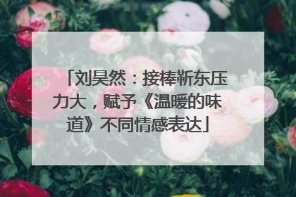 刘昊然：接棒靳东压力大，赋予《温暖的味道》不同情感表达