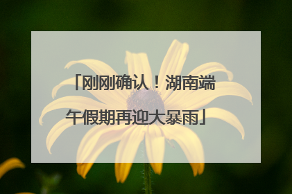 刚刚确认！湖南端午假期再迎大暴雨