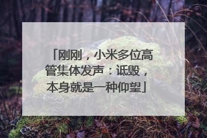 刚刚，小米多位高管集体发声：诋毁，本身就是一种仰望